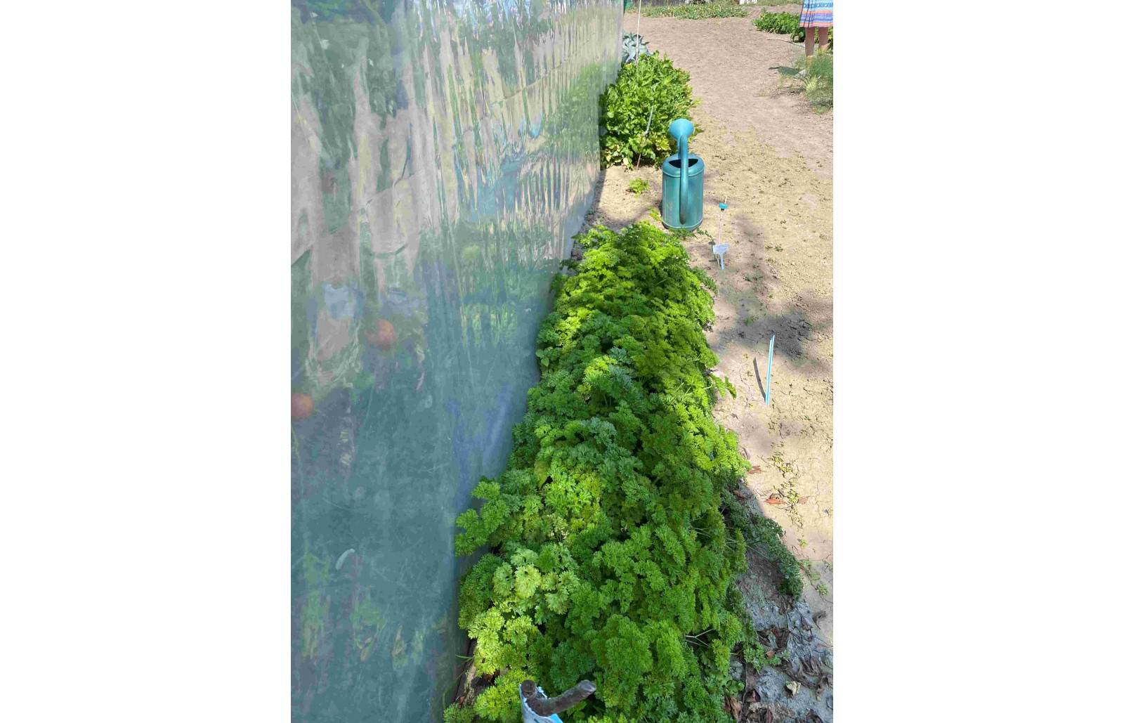 Serre tunnel de jardin - 22,5m² -  3 x 7,5 m - pieds droits - haute résistance à petit prix - LES SERRES TONNEAU - Image 10