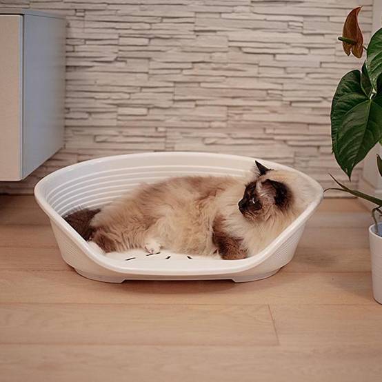 Ferplast - FERPLAST - Panier Chien Panier Chat - Lit pour Chien en Plastique Small - 100% Plastique Recyclé - Lit pou Chat Lavable - Respirant Antidérapant - - Image 4