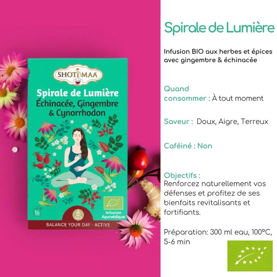 Tisane Bio Spirale de Lumière – Infusions Revitalisante Harmonieuse Gingembre et Cynorrhodon- sans Caféine-Ingrédients haute qualité - Image 2
