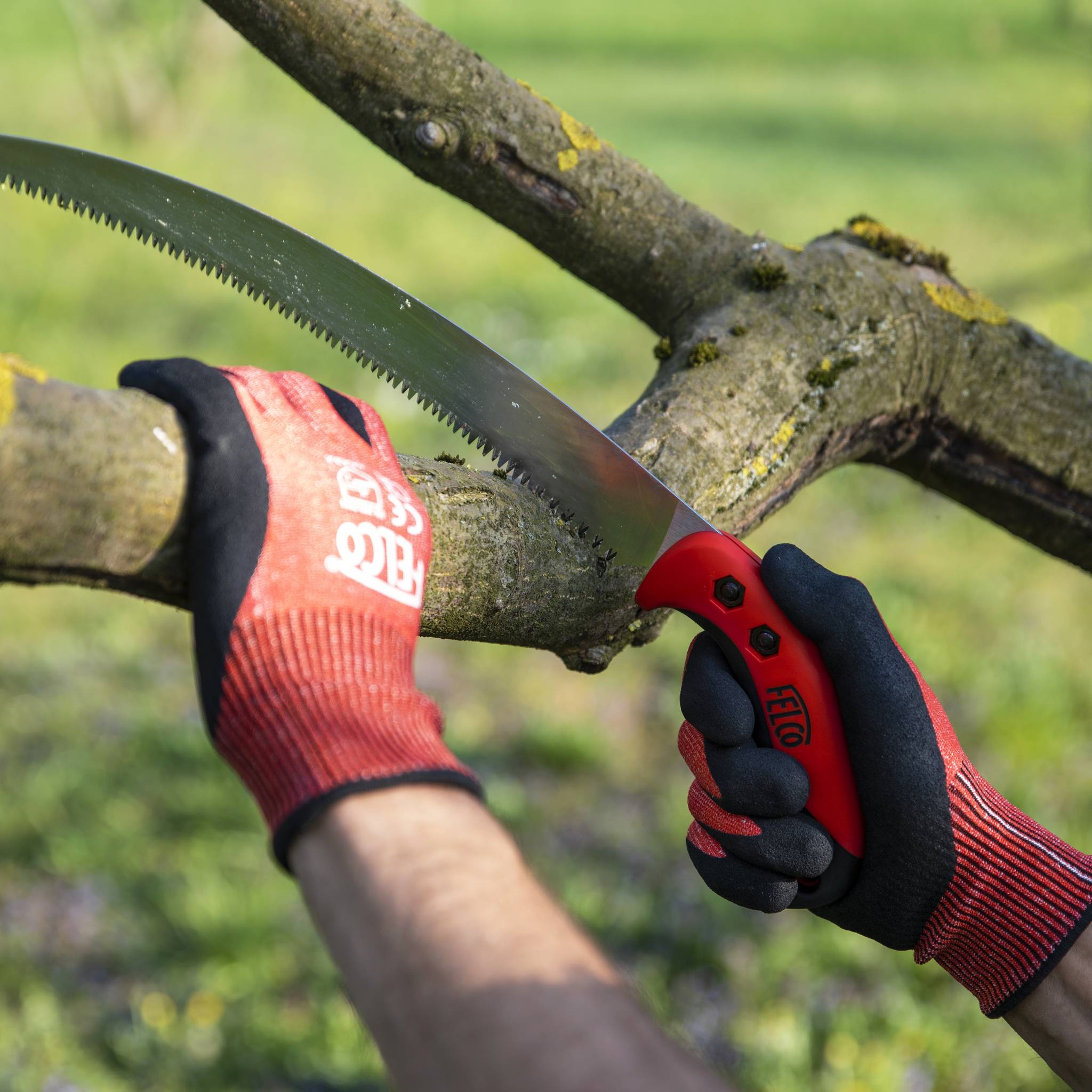 Felco - FELCO Sierra de poda n° 630 (Sierra curva de corte tirante, hoja 33 cm, corte Ø 120 mm, longitud 495 mm, incluyendo una funda) FELCO 630 - Imagen 4