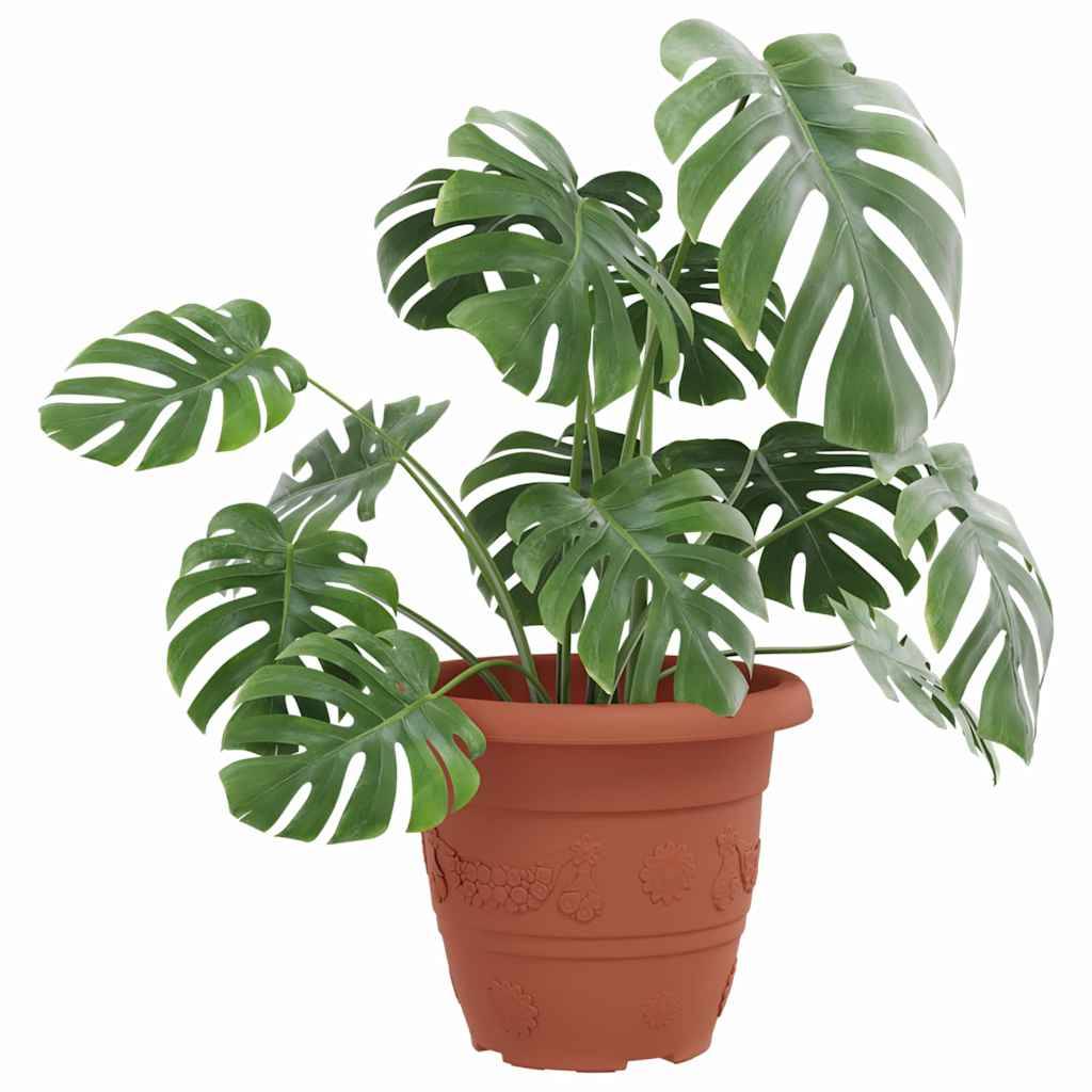 Pot à fleurs rond 24 pcs | Bac à fleurs Rouge brique Ø 26 x 21,5 cm Plastique - Image 3