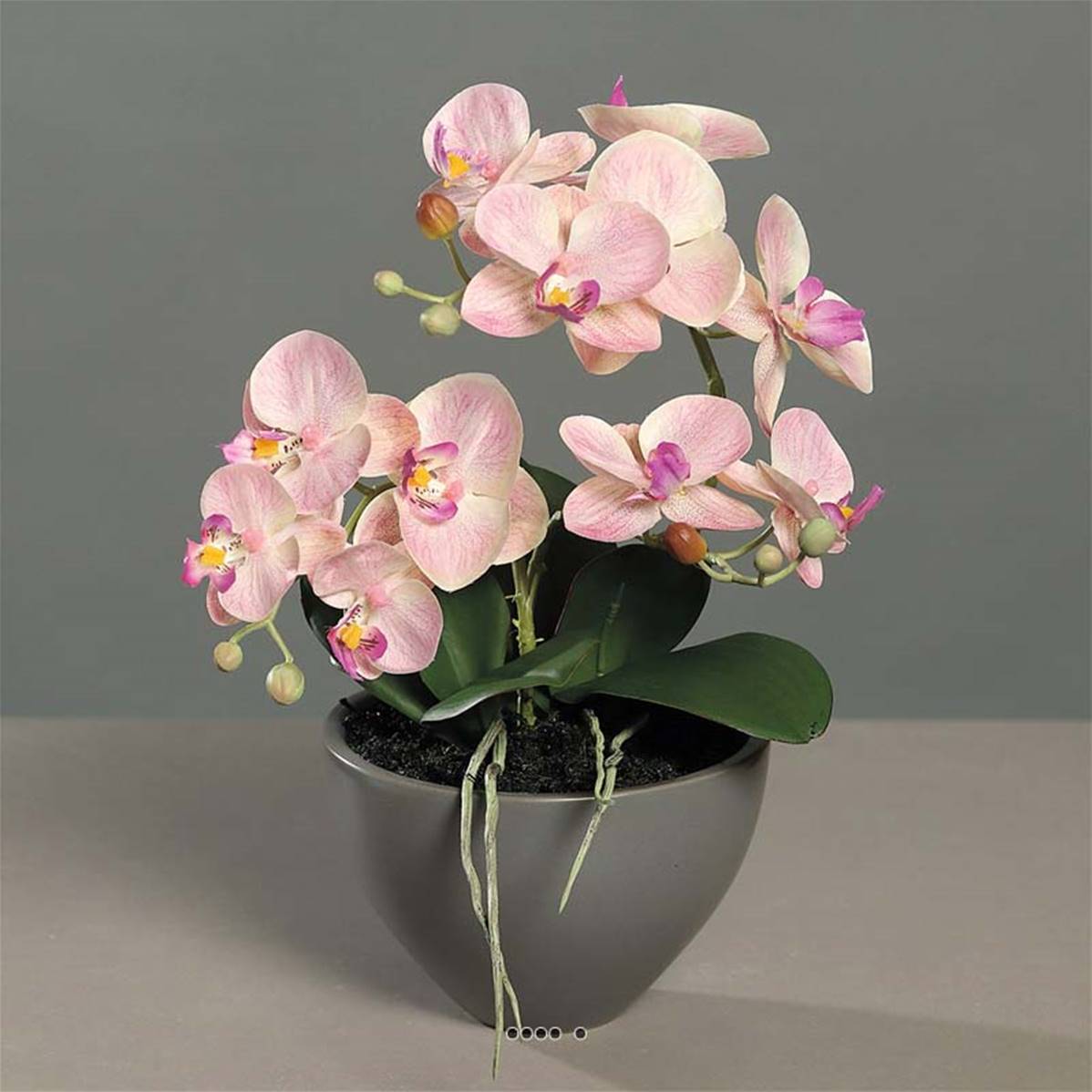 Artificielles - Orchidée phalaenopsis artificielle en coupe céramique H 35 cm Rose-crème - dimhaut: H 35 cm - couleur: Rose-crème - Imagen 2