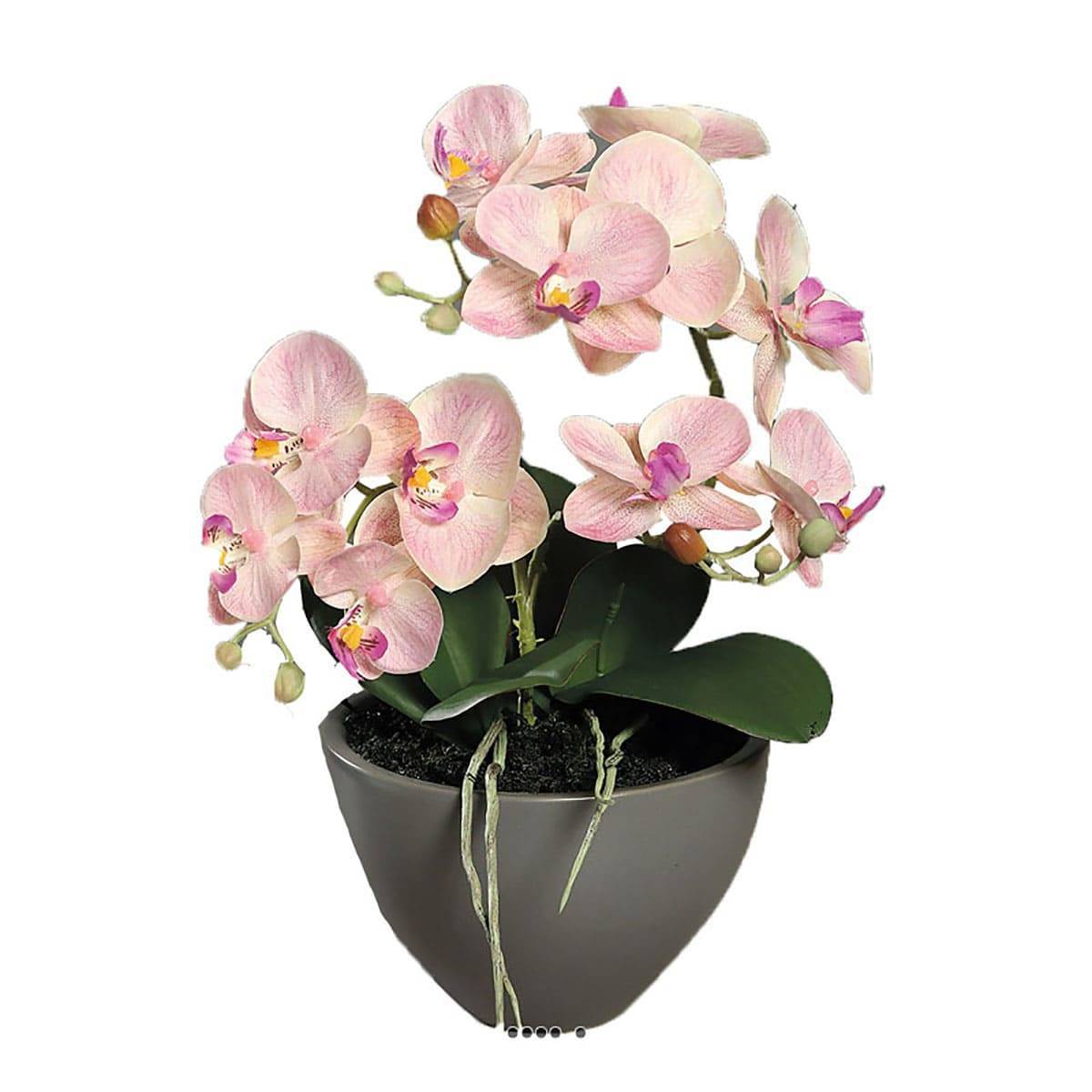 Artificielles - Orchidée phalaenopsis artificielle en coupe céramique H 35 cm Rose-crème - dimhaut: H 35 cm - couleur: Rose-crème - Imagen 1