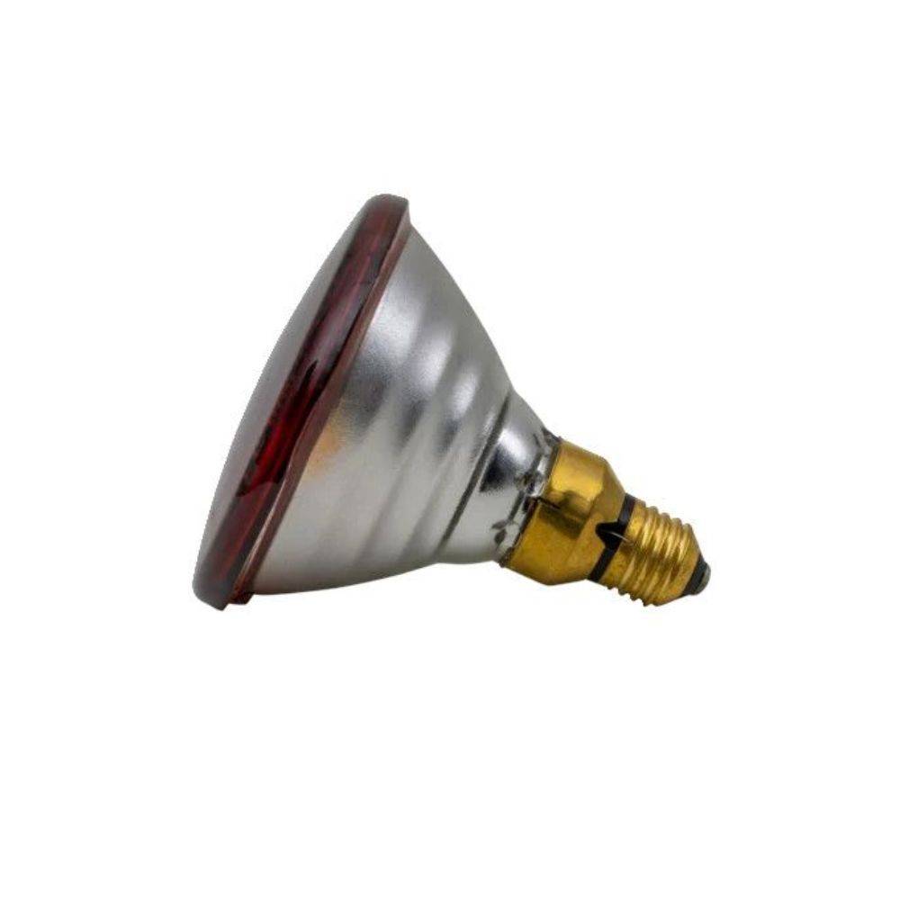 Ukal - Ampoule infrarouge PAR 175 W rouge UKAL - Image 3