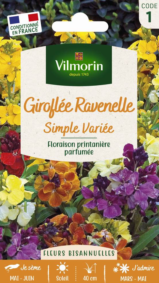 Vilmorin - Graines de Giroflée Ravenelle Simple variée