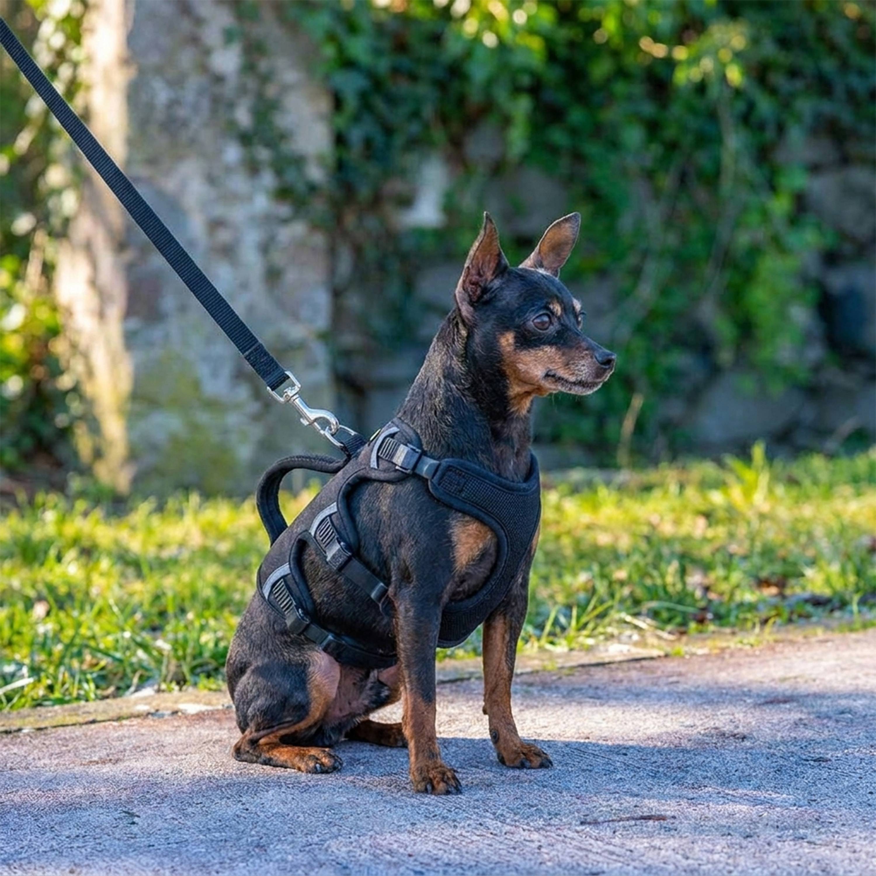 Ferplast - Ferplast Harnais Chien Réglable XS Poitrail 37-47 cm avec Poignée, Noir - Imagen 2