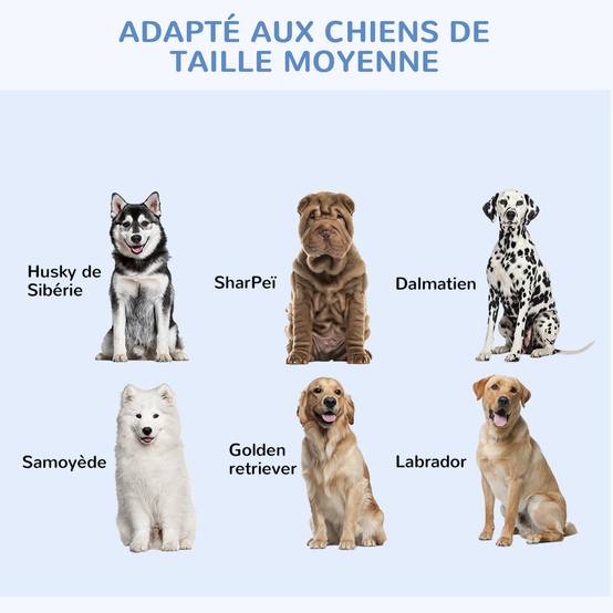 Cage de transport pliante en acier pour chiens 2 portes verrouillables 121x77cm Noir - ComfortXL Outdoor Living - Image 7