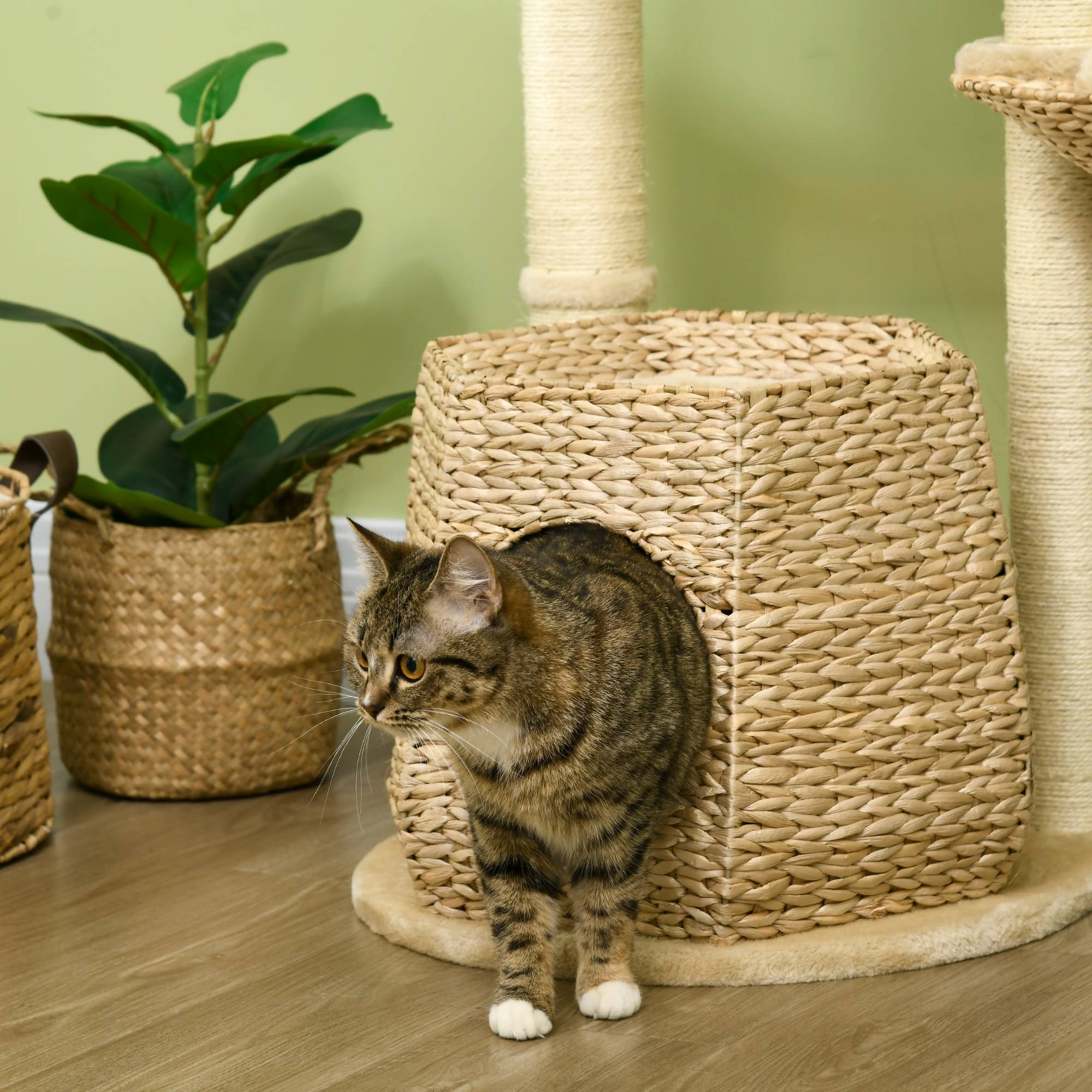 Pawhut - Arbre à chat style cosy chic griffoirs sisal naturel niche 2 paniers avec coussins plateforme boules suspendues quenouille peluche courte crème beige - Imagen 7