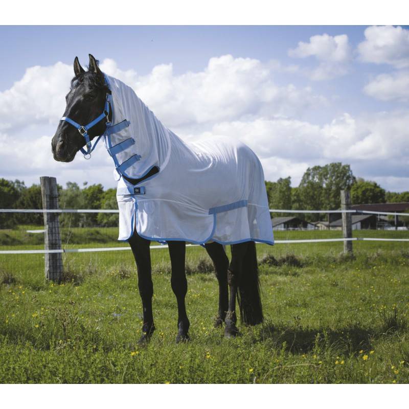 Chemise Filet Cheval - Blanc et Bleu - Riding World Combo - taille 137 - Imagen 1