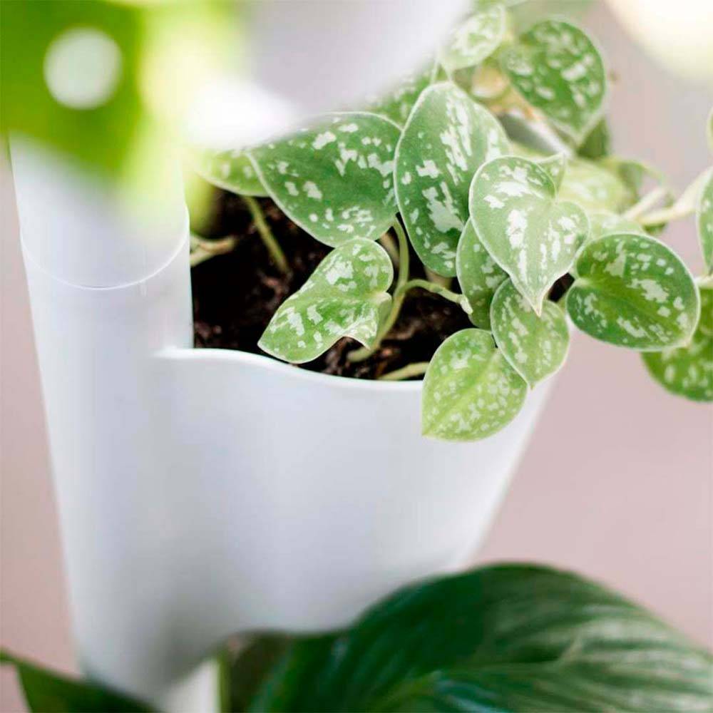 Jardinière verticale CitySens blanche avec 4 pots
et arrosage automatique Wi-Fi - Image 4