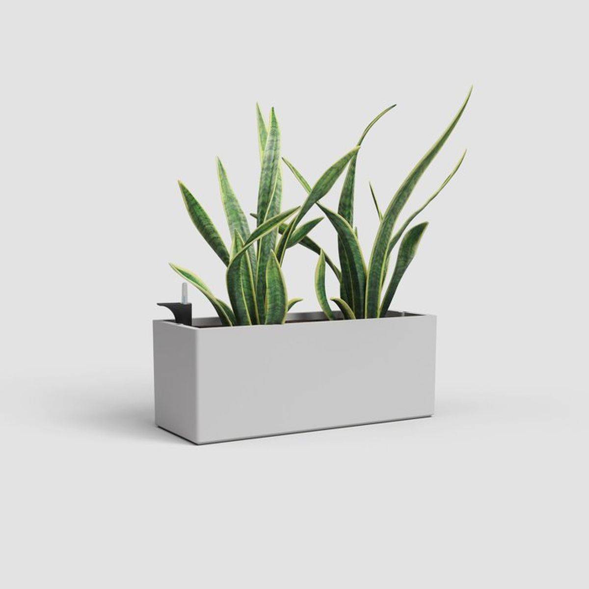 Artevasi - Jardinière rectangulaire auto-arrosante SWS 51 x 20 x 20 cm gris clair ARTEVASI - Image 2