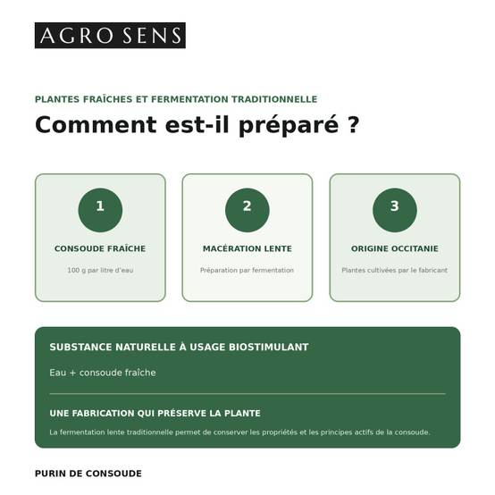 Purin de consoude - Concentré à diluer - 1 Litre - Image 3