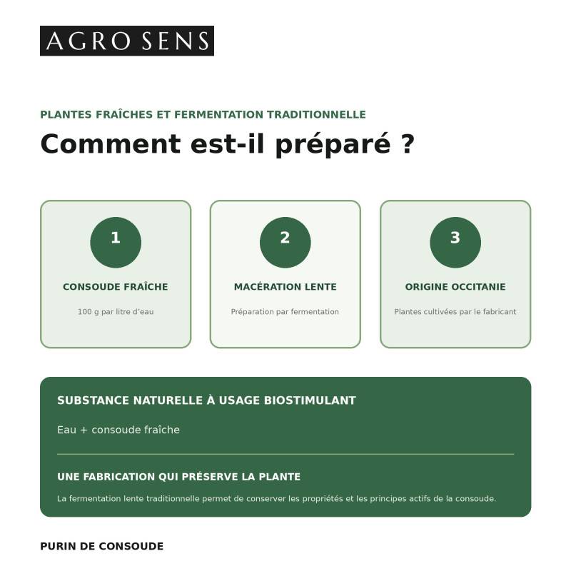 Purin de consoude - Concentré à diluer - 1 Litre - Image 3