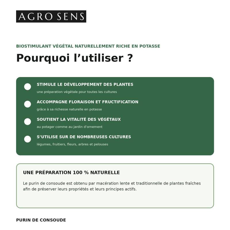 Purin de consoude - Concentré à diluer - 1 Litre - Image 2