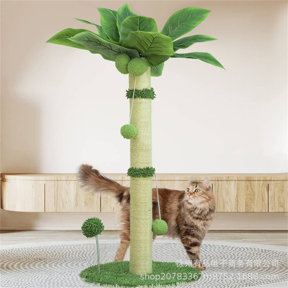 Griffoir pour Chats 80 cm - Cocotier DtopbuyAge - Image 3