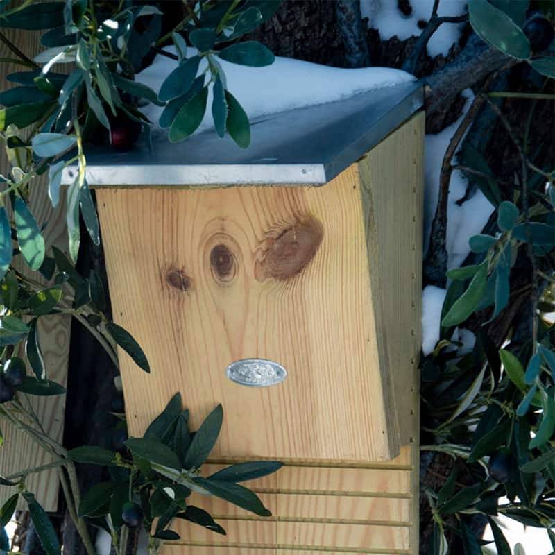Esschert Design - Nichoir et abris en bois pour Chauves-Souris - Esschert Design - Imagen 3