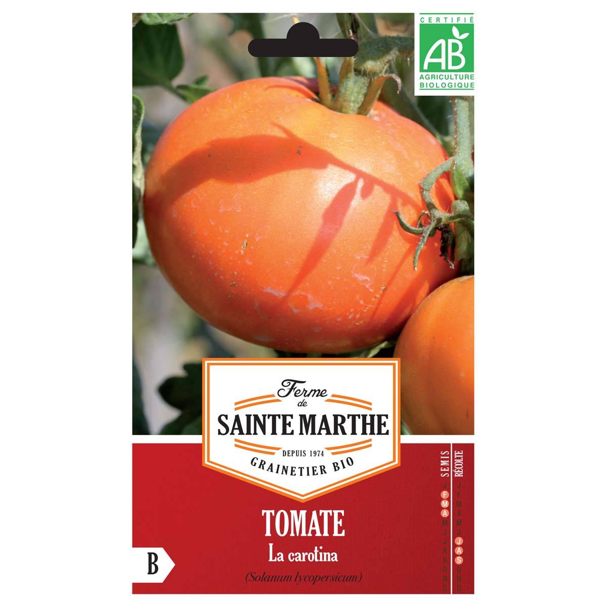 Tomate La Carotina Bio - Ferme de Sainte Marthe le sachet de 40 graines environ