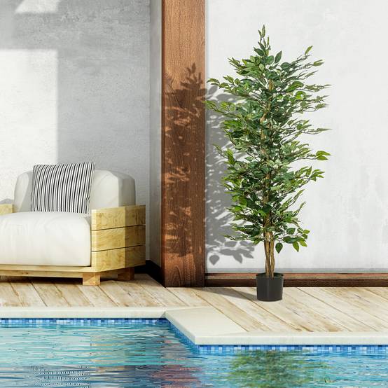 Quelles plantes cultiver en pot sur un balcon ou une terrasse Quelles plantes cultiver en pot sur un balcon ou une terrasse