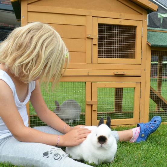 Cage Clapier Enclos lapin 145x53x86 cm Modele: 001 Villa Lapin BB LOISIR - Image 4