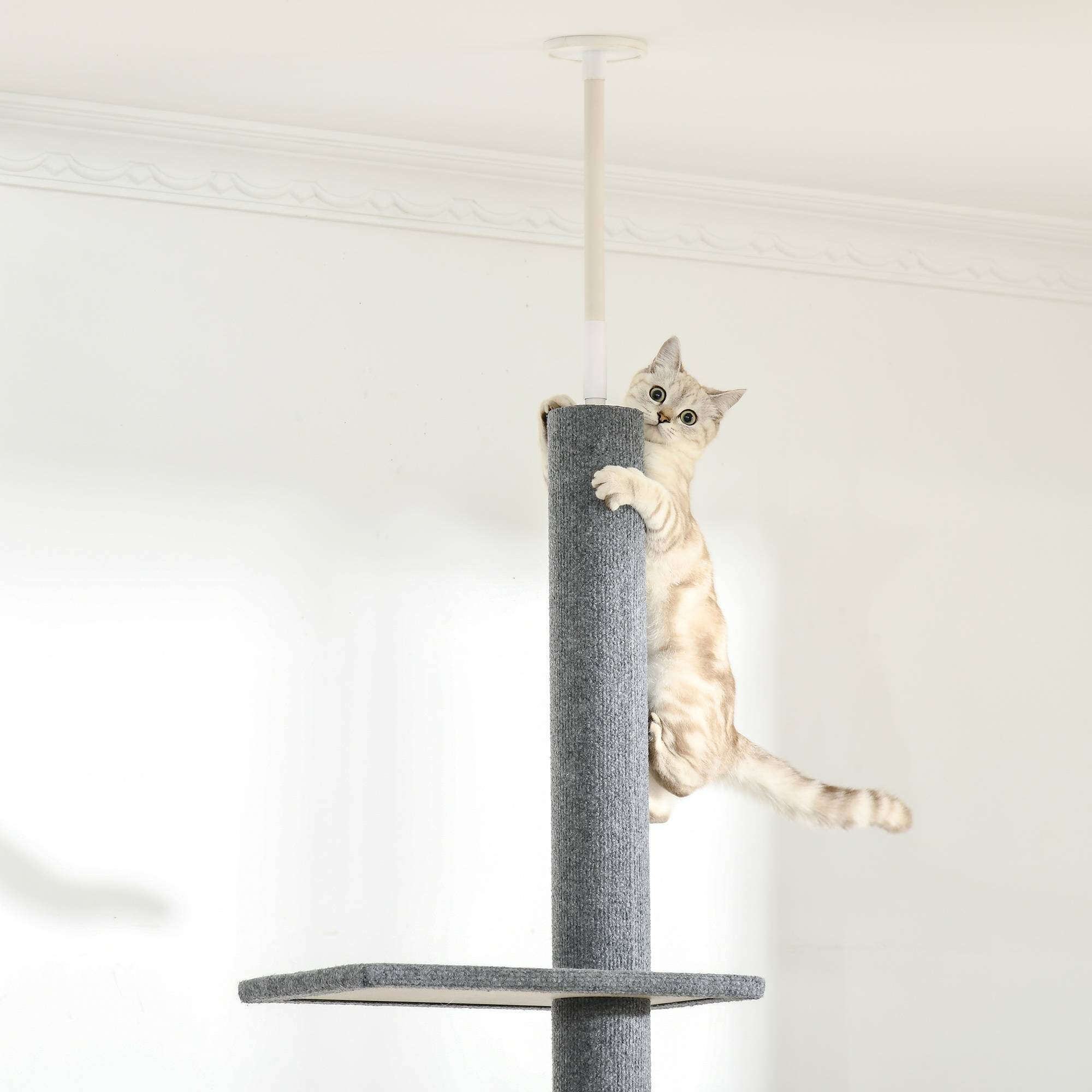 Pawhut - Arbre à chat poteau à griffer hauteur réglable dim. 43L x 27I x 228-260H cm 4 niveaux d'activités gris clair - Imagen 8