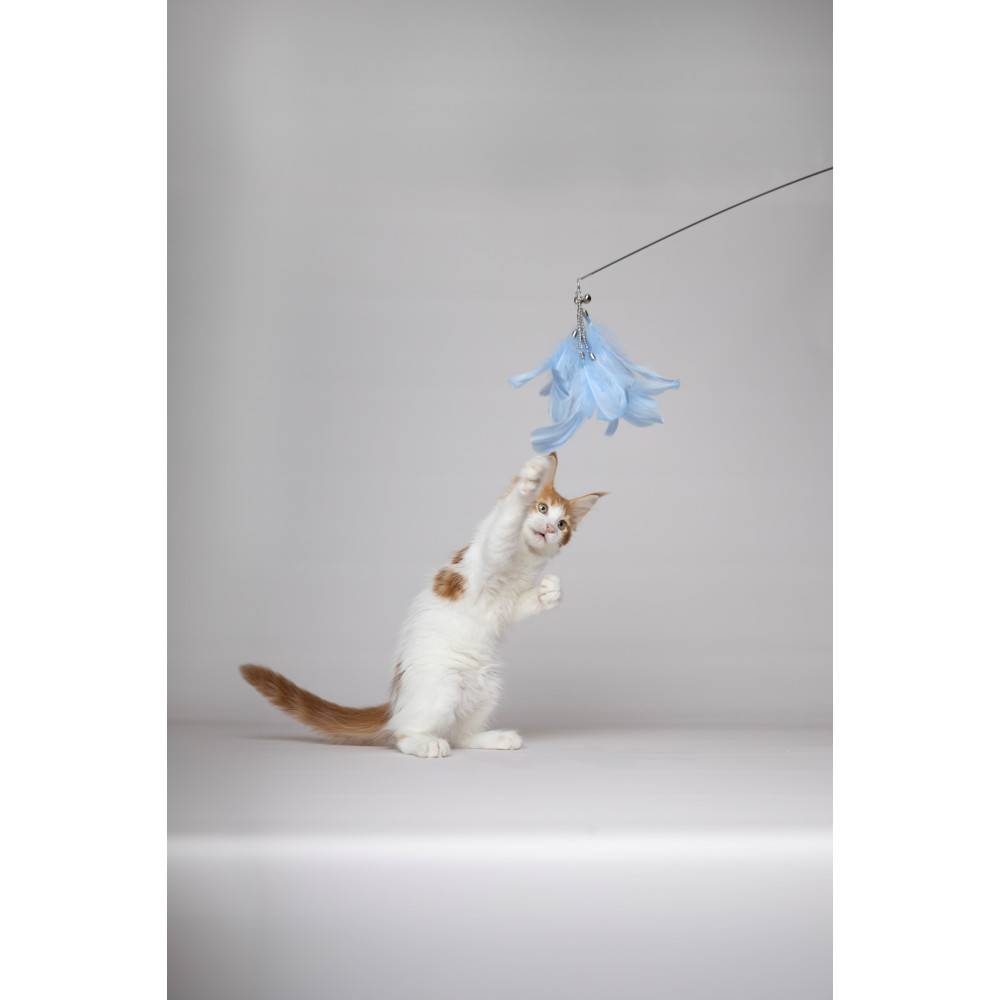 Canne à pêche Nimmy de 61 à 189 cm. couleurs aléatoires pour chat - Image 6