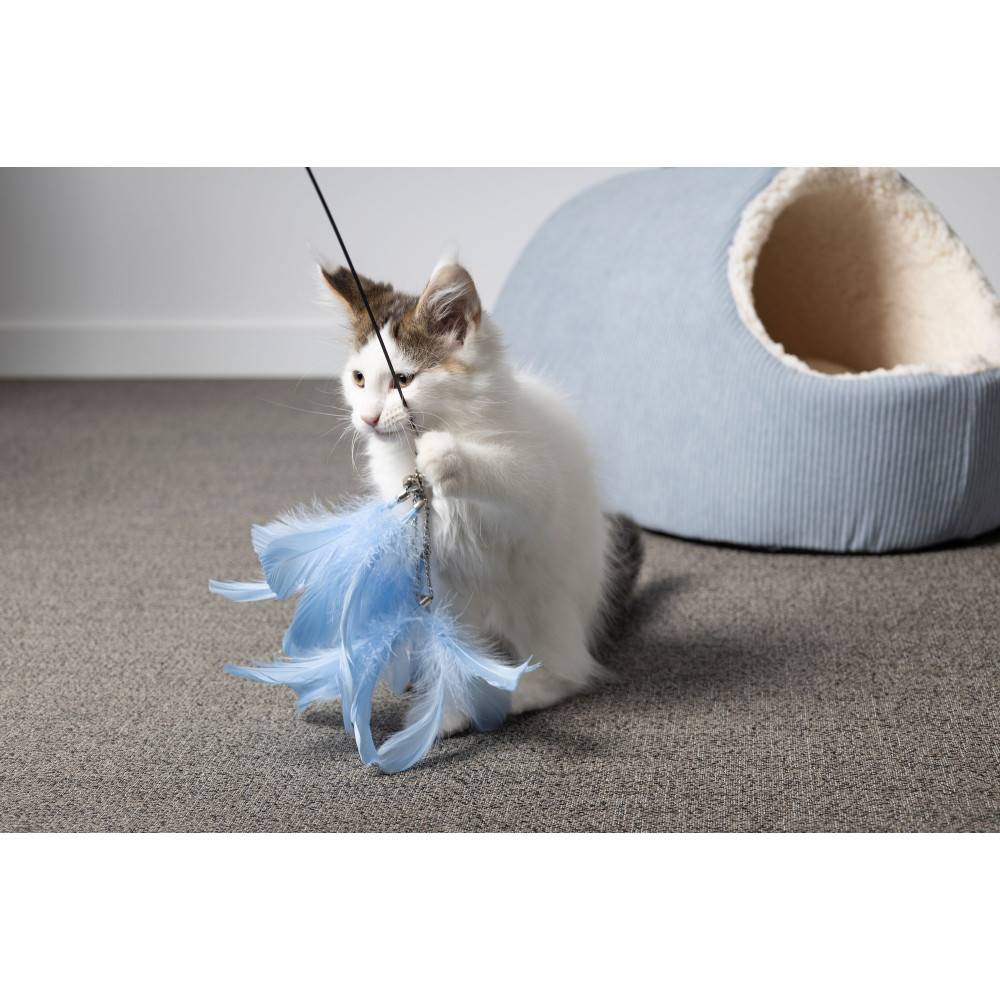 Canne à pêche Nimmy de 61 à 189 cm. couleurs aléatoires pour chat - Image 5