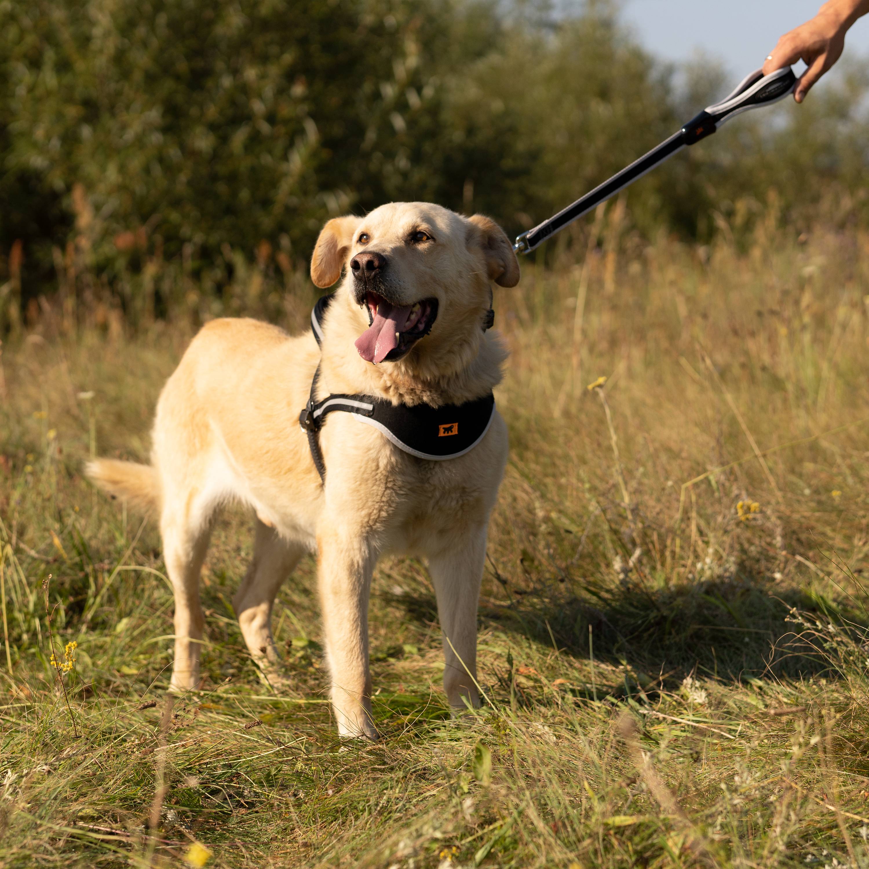 Ferplast - Ferplast ERGOCOMFORT GM25/55 Laisse courte en nylon pour chien, Poignée ergonomique, Rembourrage doux, Longueur 55 cm x 2,5 cm, Argent - Imagen 3