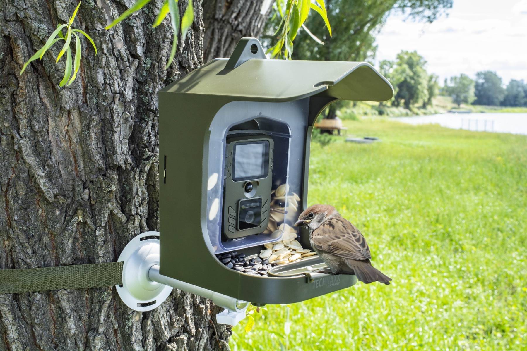 Caméra oiseaux FULL HD Birdcam TX-165 : Capturez la vie des oiseaux et des petits animaux en toute simplicité - Technaxx - Image 8