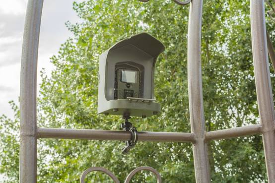 Caméra oiseaux FULL HD Birdcam TX-165 : Capturez la vie des oiseaux et des petits animaux en toute simplicité - Technaxx - Image 5