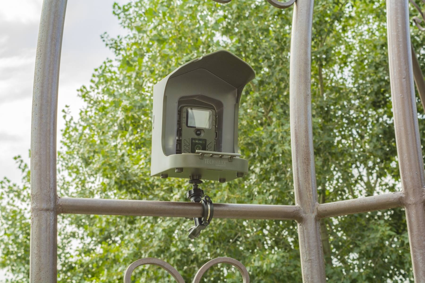 Caméra oiseaux FULL HD Birdcam TX-165 : Capturez la vie des oiseaux et des petits animaux en toute simplicité - Technaxx - Image 5