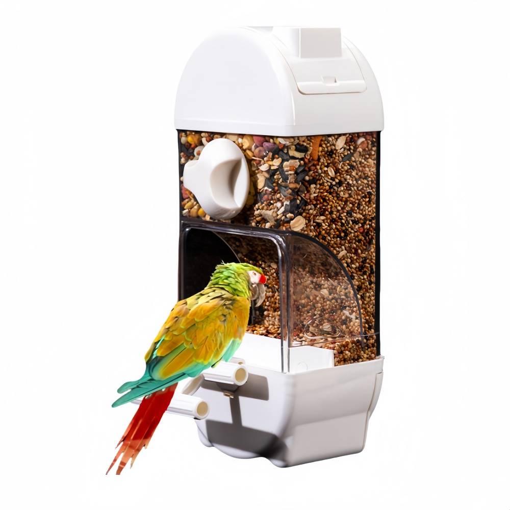 IntiMeg - Mangeoire automatique pour oiseaux 800 ml IntiMeg - Image 1