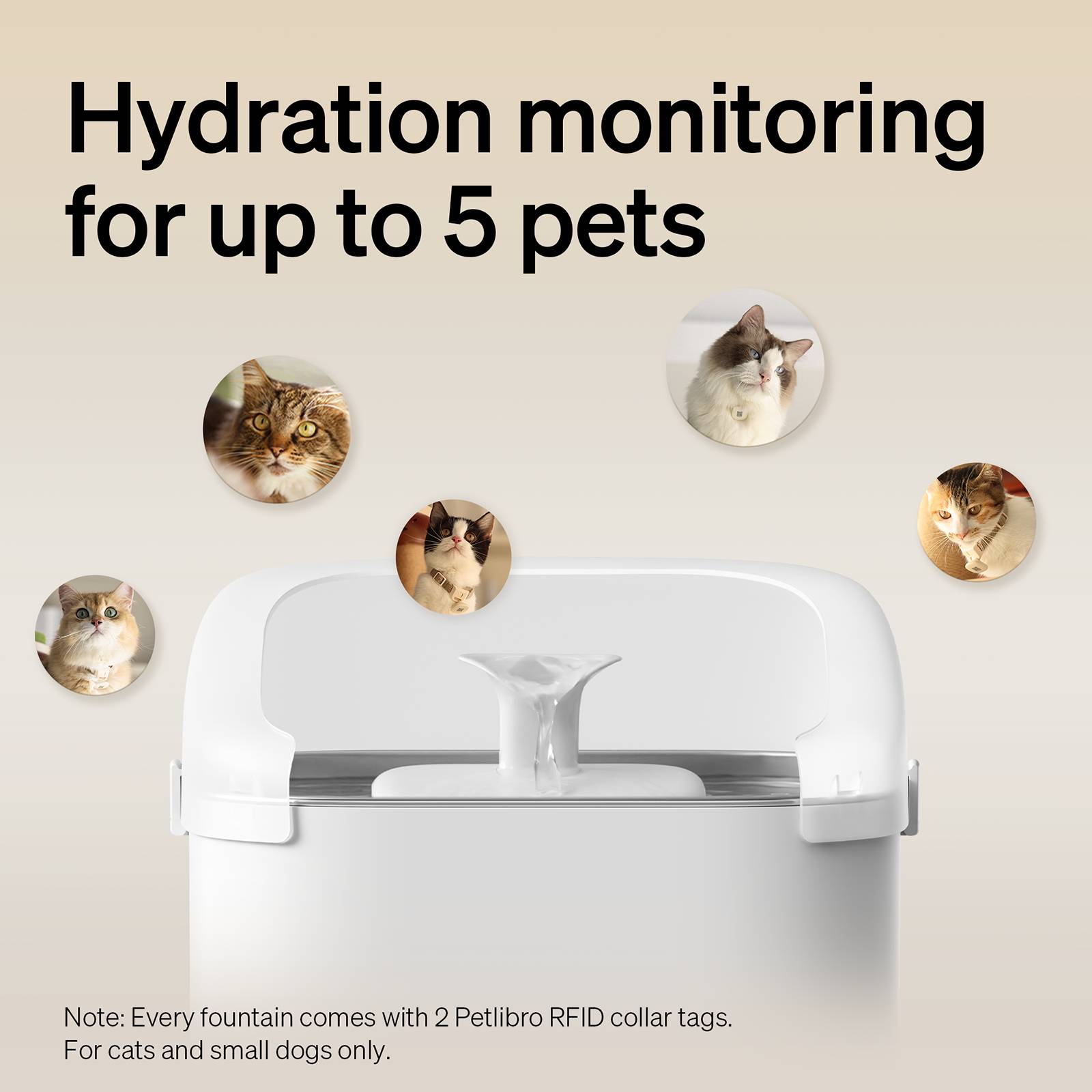 Fontaine intelligente RFID Dockstream Petlibro - Image 2