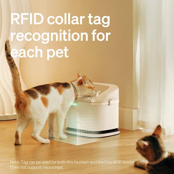 Fontaine intelligente RFID Dockstream Petlibro - Image 3