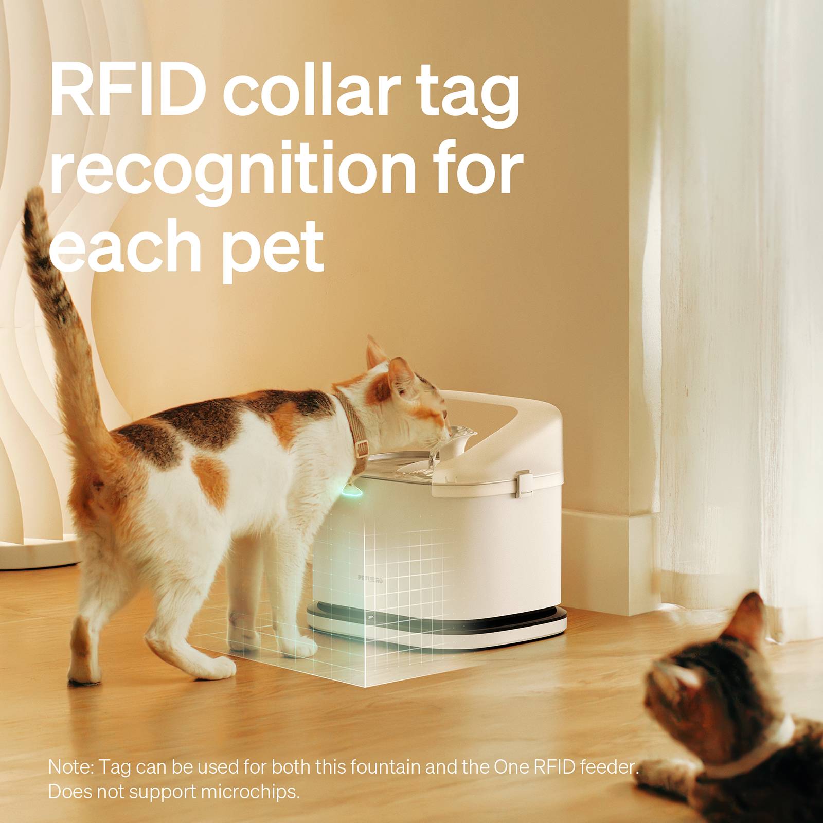 Fontaine intelligente RFID Dockstream Petlibro - Image 3