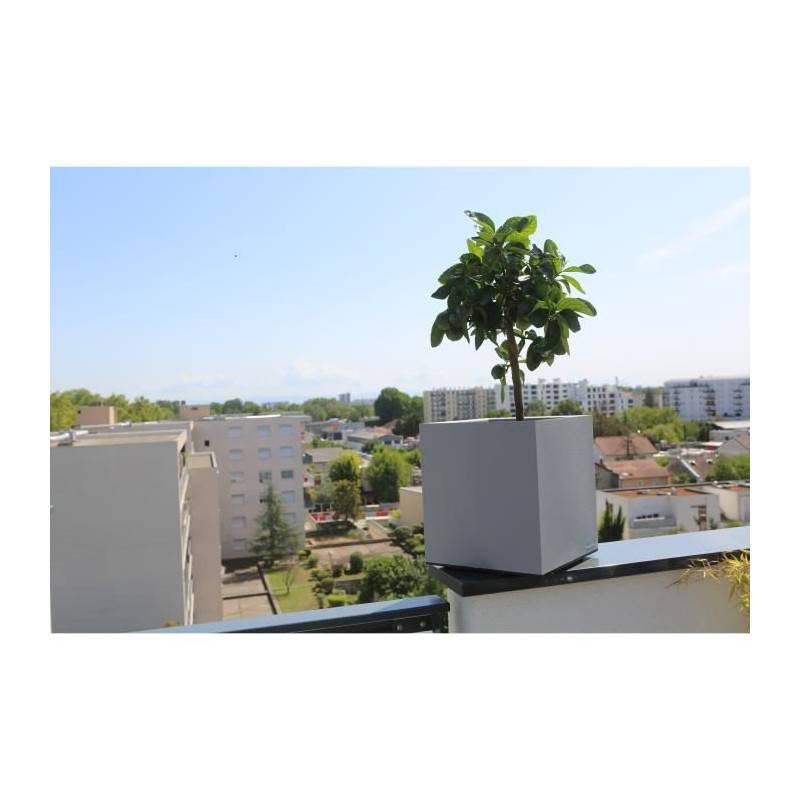 Riviera - Riviera Bac Granit - 40x40 Cm - Stone - Image 4