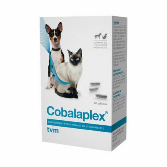 Cobalaplex TVM supplémentation vitamines B12 et B9 Boite 60 gélules