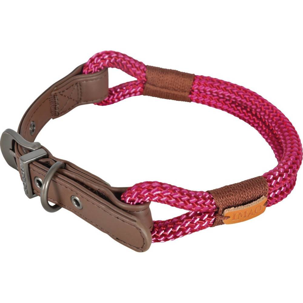 Zolux - Collier IMAO 60 cm x 11 mm Hyde park fuchsia pour chien - Imagen 1