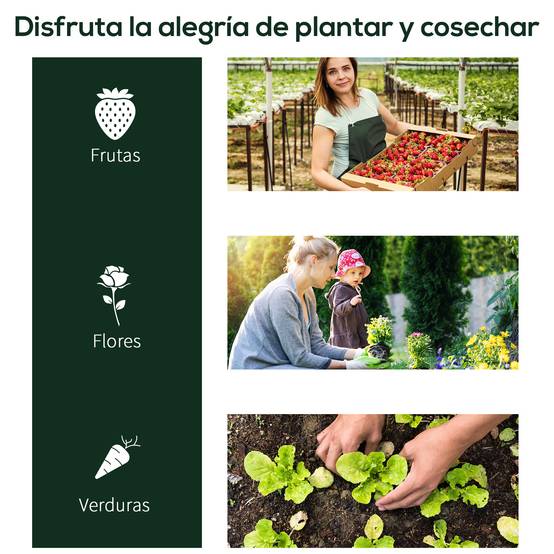 Mini serre châssis de culture en acier et PVC pour potager 200x100x80 cm Transparent - ComfortXL Outdoor Living - Image 8