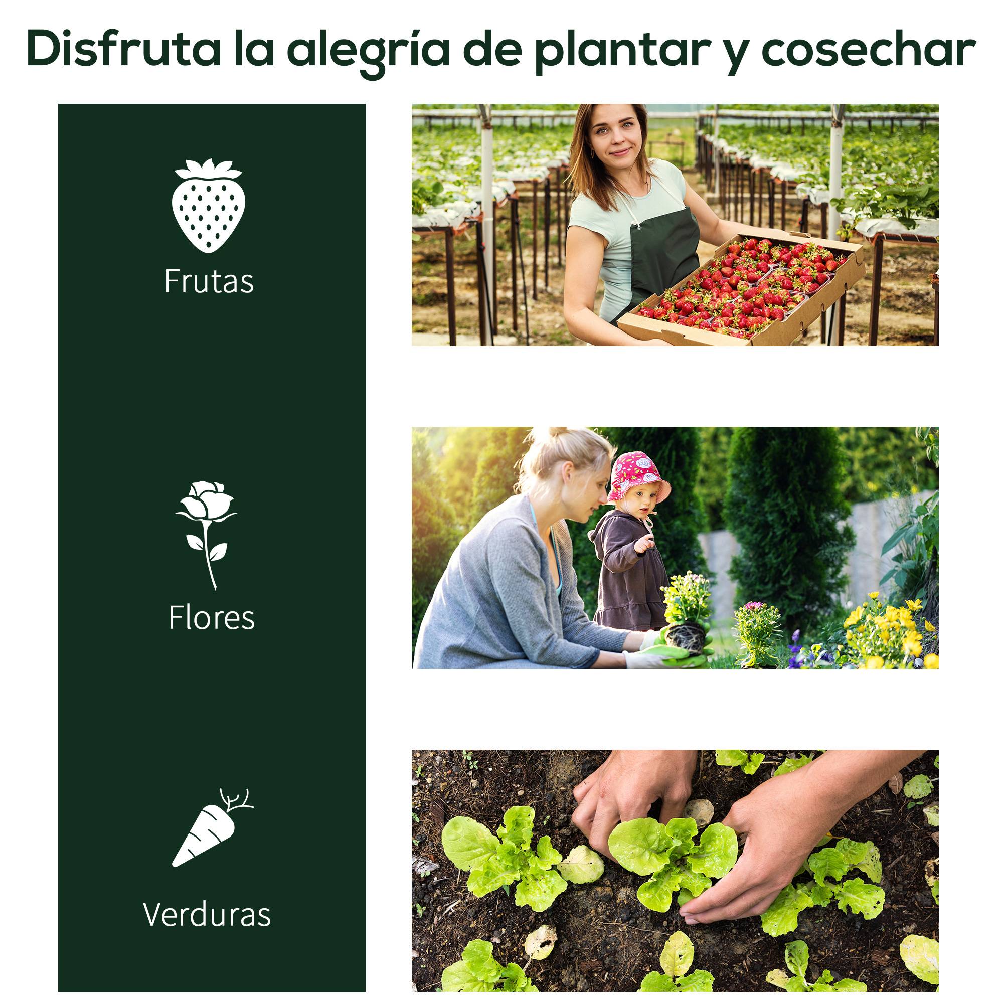 Mini serre châssis de culture en acier et PVC pour potager 200x100x80 cm Transparent - ComfortXL Outdoor Living - Image 8