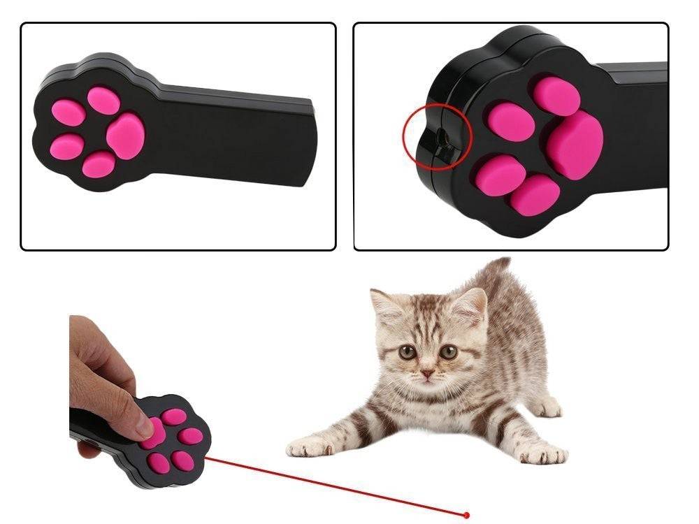 Laser pour chats objet lumineux pointeur de pattes - Image 4