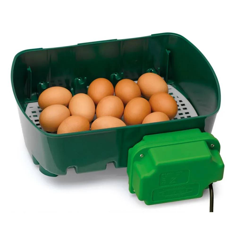 Couveuse semi automatique 12 oeufs River Systems Egg Tech 12 River Systems - Image 2