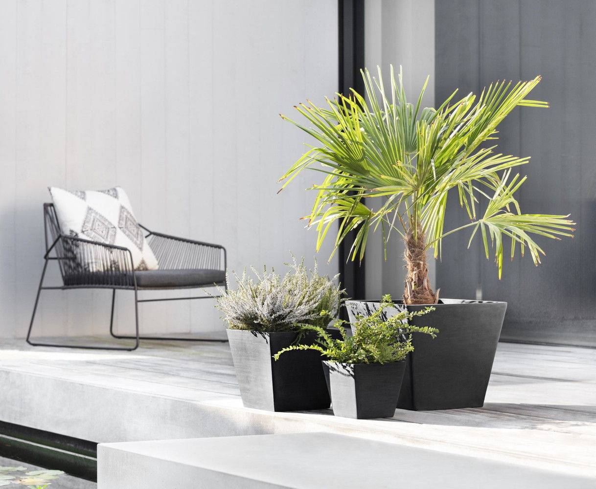 Ecopots - Pot Carré Rotterdam 40 Gris Foncé - 40 x 40 x H. 35 cm - 37,6 L ECOPOTS - Imagen 4