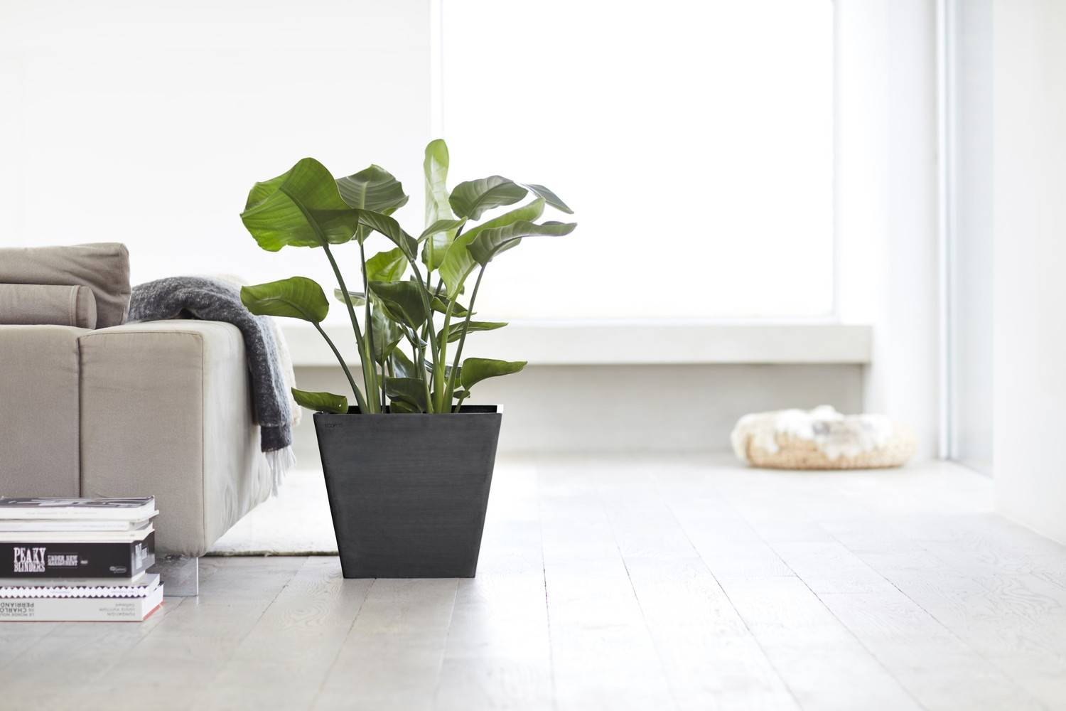 Ecopots - Pot Carré Rotterdam 40 Gris Foncé - 40 x 40 x H. 35 cm - 37,6 L ECOPOTS - Imagen 3