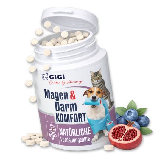 Confort Estomac & Intestin – aide efficacement en cas d’intolérances alimentaires 30 comprimés GIGI VET - Image 1