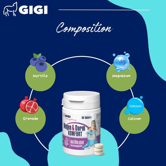 Confort Estomac & Intestin – aide efficacement en cas d’intolérances alimentaires 30 comprimés GIGI VET - Image 5