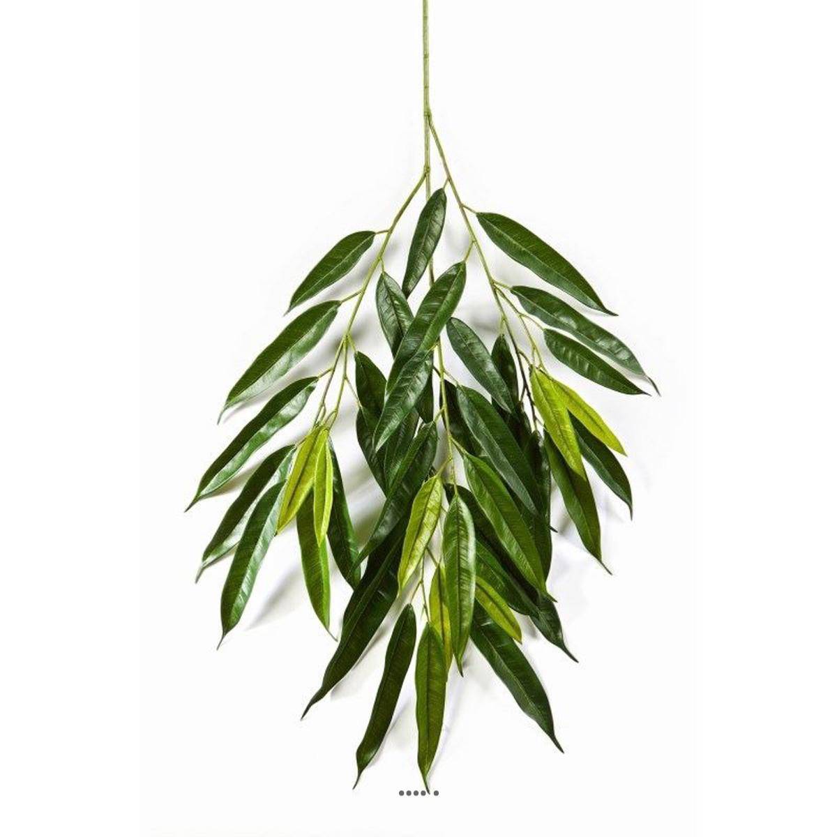 Branche de longifolia royal artificielle L 85 cm Vert - Image 4
