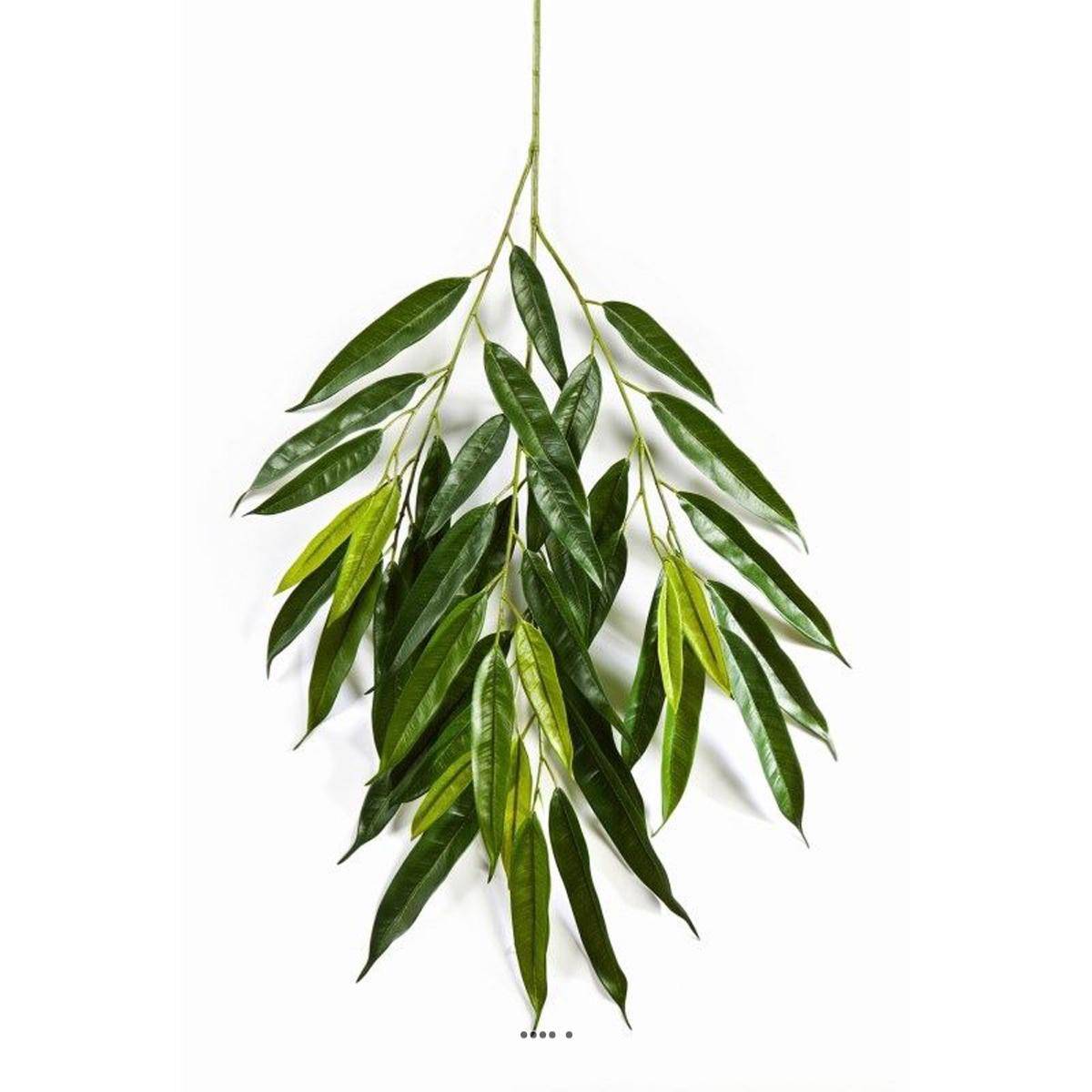 Branche de longifolia royal artificielle L 85 cm Vert - Image 1