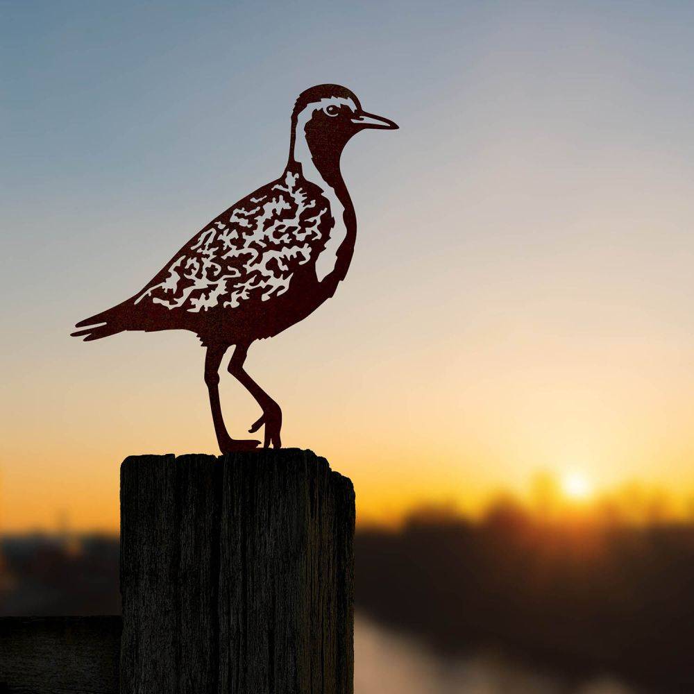 Metalbird - Pluvier doré à planter en acier corten Metalbird - Imagen 2