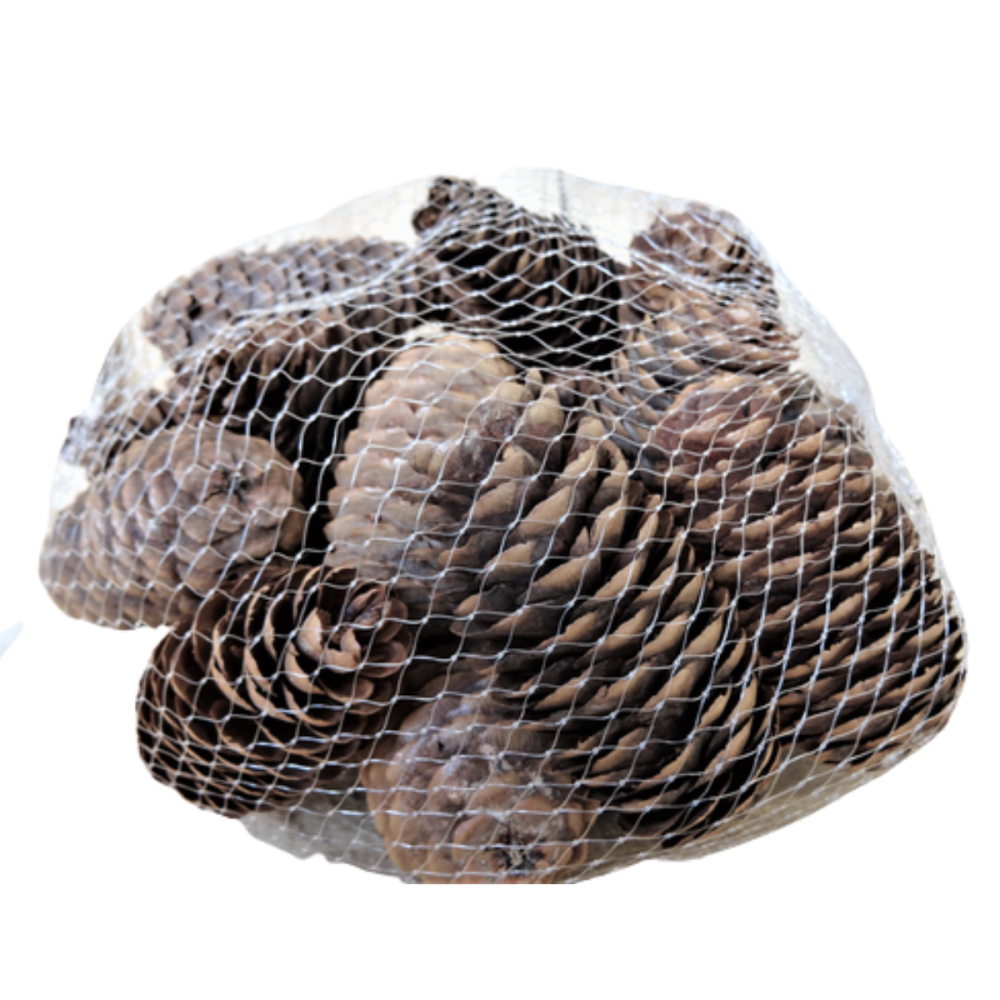 Sachet de pommes de Pin allongées marron 240g Chemin de campagne - Imagen 1