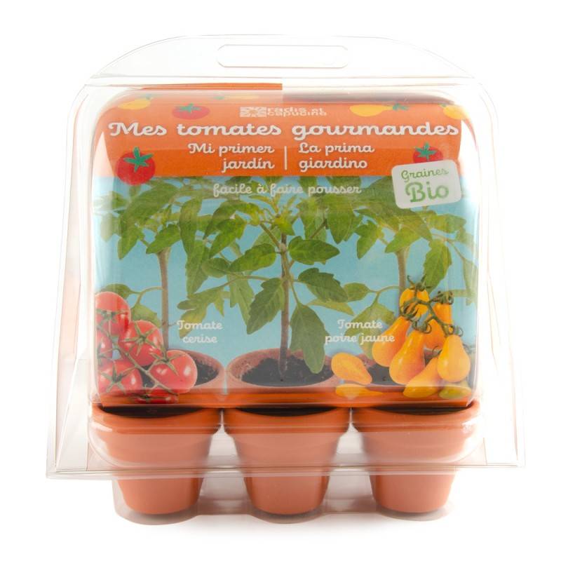 Radis et Capucine - Radis et Capucine - Mini serre 6 pots - Tomates bio à faire pousser - Image 4